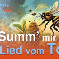 Summ' mir das Lied vom Tod - Betreutes Gucken mit Aron und Frank by NuoFlix