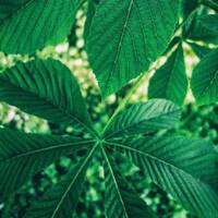 copernicus - highway to house - episode 9 by copernicus