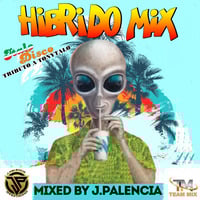 HIBRIDO MIX BY J.PALENCIA (TRIBUTO A TONYTALO 2023) mastered by j.palencia 2