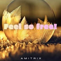 Feeling so free (Vocal house mix) by Amitrix