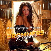 smallHans meets BoerHarm &amp; J Balvin - Mi Brommers Kiek'n by smallHans