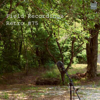 Field Recordings | Retro #75 by PG3A