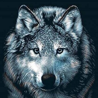 Jean-Fran&ccedil;ois Marcelis