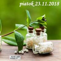 Riešenia a alternatívy 95 - 2018-11-23 Klasická a neklasická homeopatia… by Slobodný Vysielač
