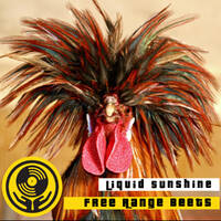 Show #45 - Free Range Beets - Liquid Sunshine @ The Face Radio - 16-02-2021 by Liquid Sunshine