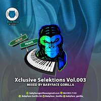 Xclusive Selektions Vol.003( Mixed and Compiled By BabyFace Gorilla) by BabyFace Gorilla