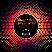 Shiny Disco House 2024 Session 2 by DJ Pascal Belgium