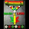 Dj Mash A Lion
