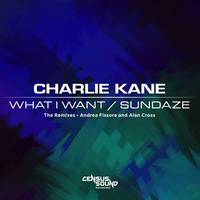 Charlie Kane - What I Want - Andrea Fissore Remix by Census Sound Recordings