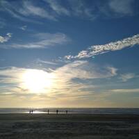 M E O W by NyxSix Supernova