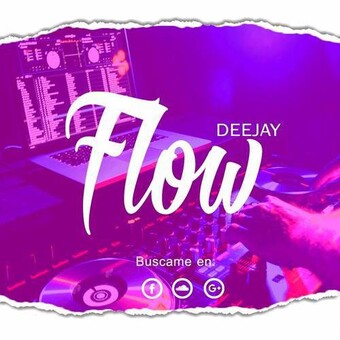 Deejay Dj Flow