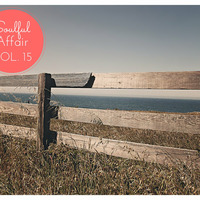 Soulful Affair Vol. 15 by DJGino