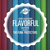 FLAVORFUL CHAPTER 01 by Funk Protectors