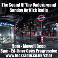 Ed-Liner Goes Progressive by Ed-Liner