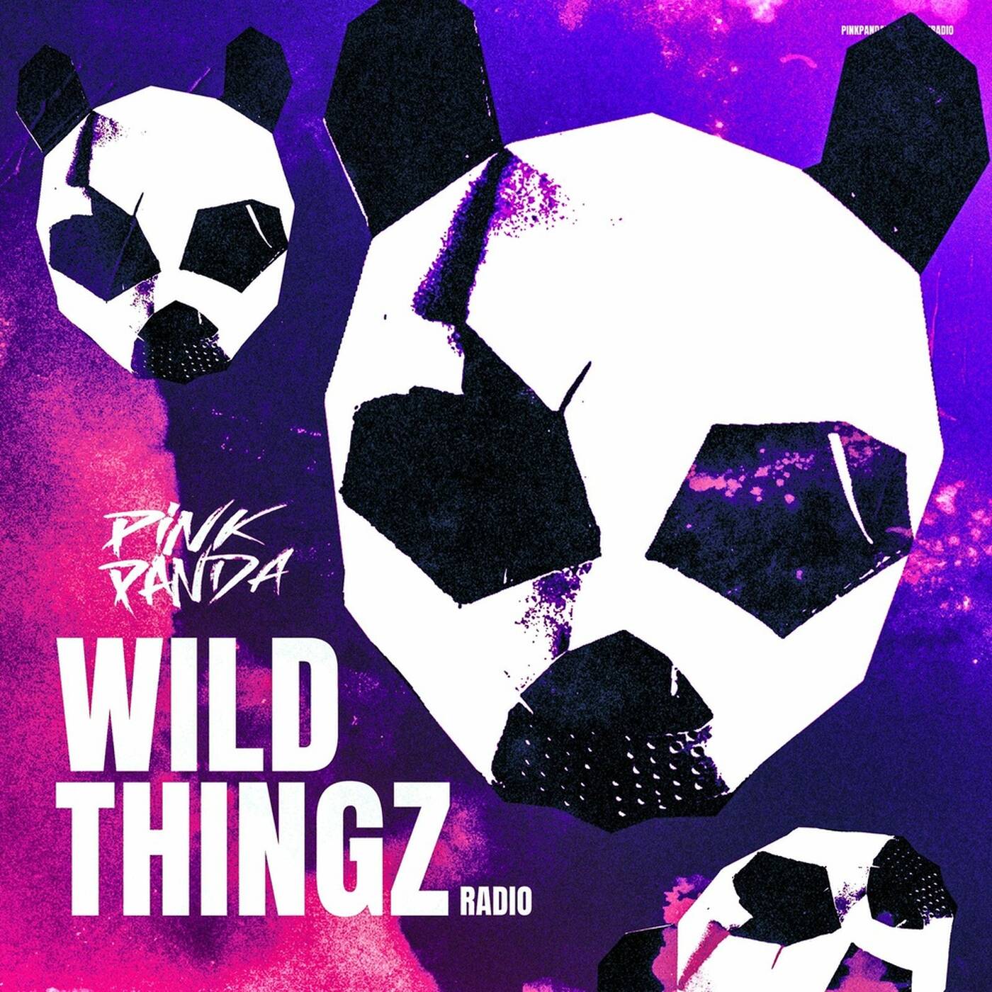 Pink Panda - Wild Thingz Radio Show (Feb 2026) episode artwork