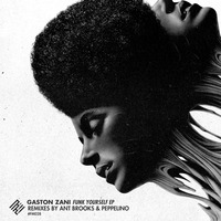 Gaston Zani - Funk Yourself (Ant Brooks Remix)[Florida Music] by Gaston Zani