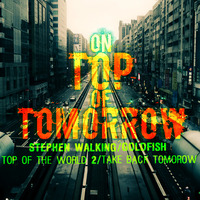 On Top Of Tomorrow (Stephen Walking/Goldfish) EDM Mashup by The Mashup Wyvern