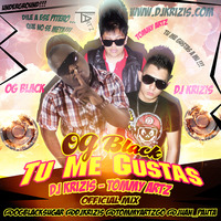 Tu Me Gustas (Remix) by Dj Krizis