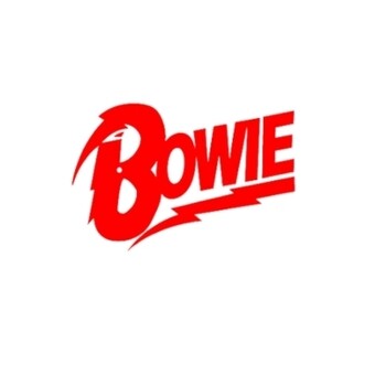 davidbowiemerchstore