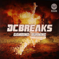 Remixes &amp; Mashups