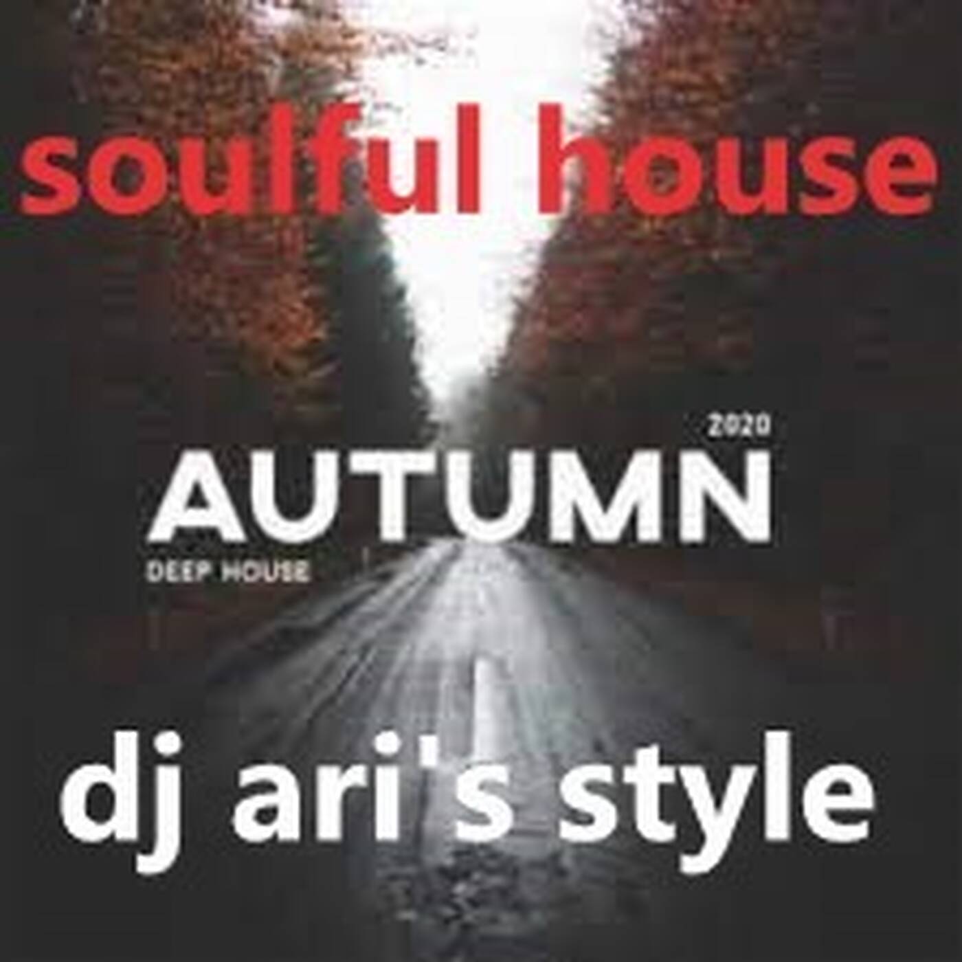 DJ ARI'S STYLE#AUTUMN SOULFUL HOUSE #EP 01 episode artwork