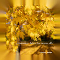 a concert held in low autumn skies by Ambire Seiche