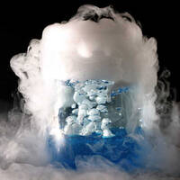 SUBLIMATION by Harlemoverdrive