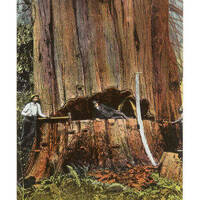 DeaneTR & Mike Mercker - B.J. Elzinga - Remembering the Dead by Warriorpoets