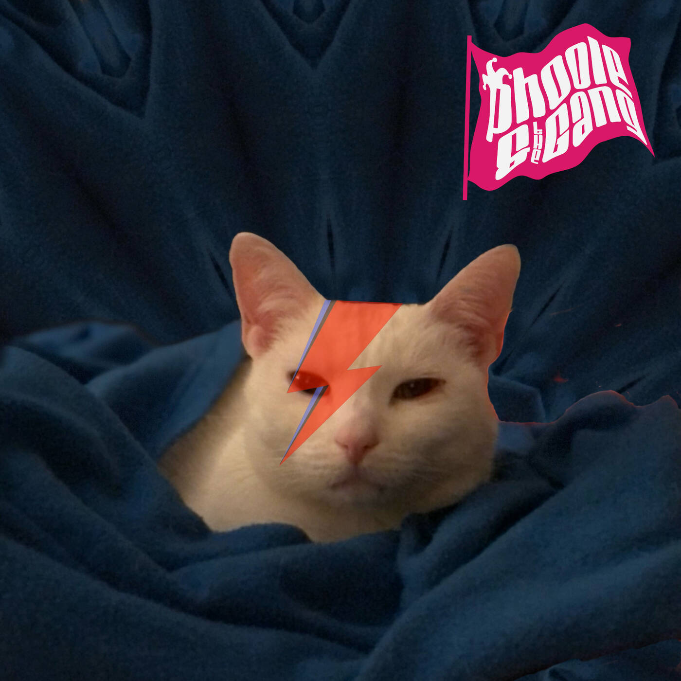 Bowie Showie By Request - Phoole and the Gang 429 episode artwork