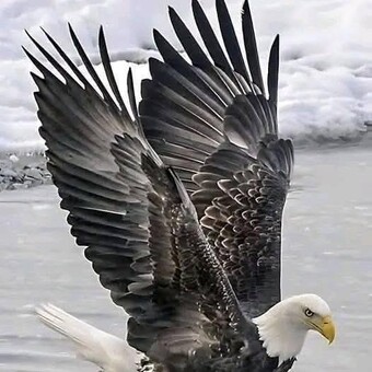 Ķhĕeď &Yacute;oųnğ