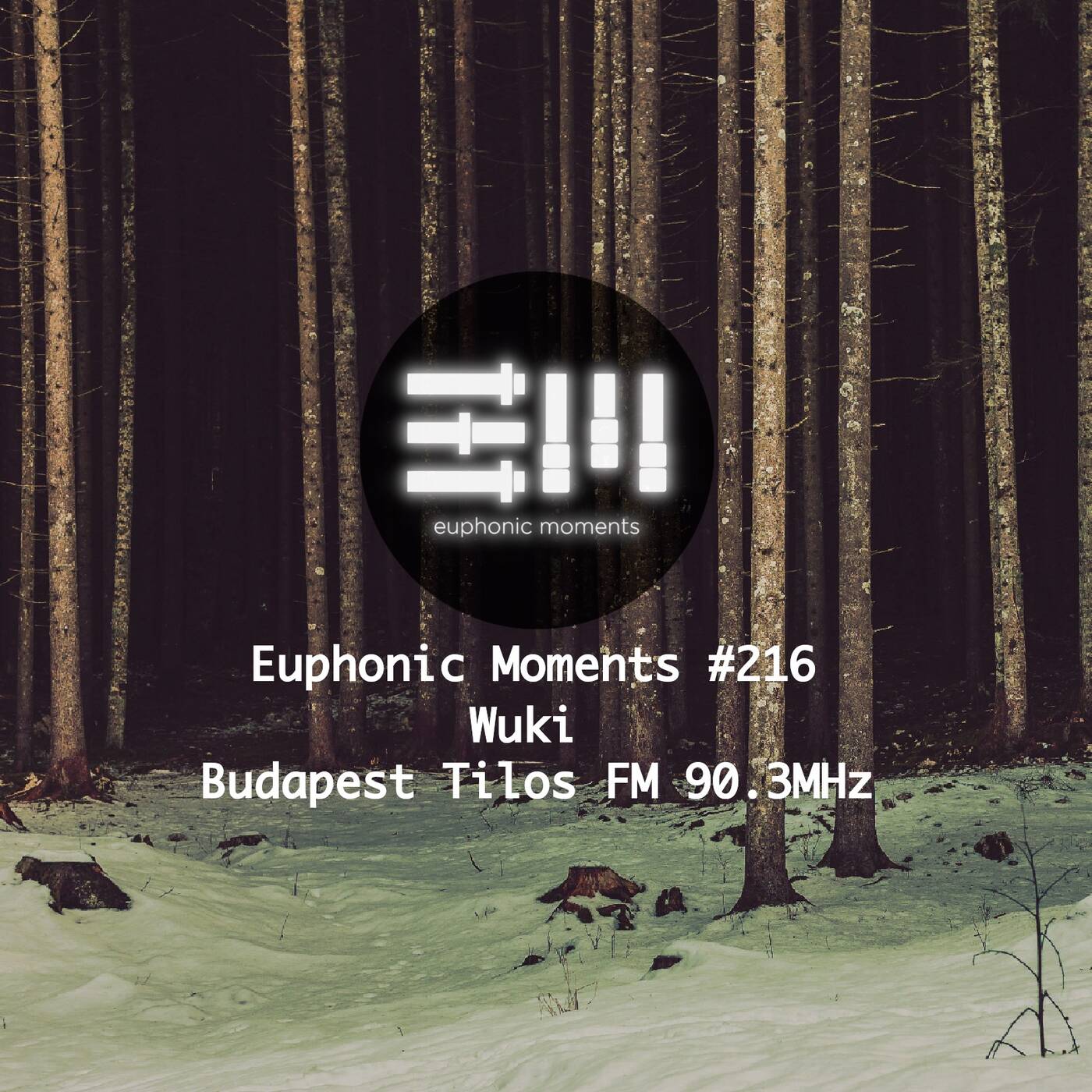 Euphonic Moments # 216 Wuki episode artwork