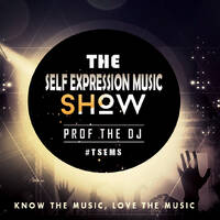 The Self Expression Music Show #007 Guest Mix By DJ RAYMOND by The Self Expression Music Show