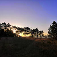 Ausnahmezustand MVZ/Wagner Jena 11.10.24 by Big Breeze