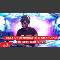 BEST OF AFROBEATS AMAPIANO SONGS MIX 2025 BY DJ PEREZ FT WIZKID JAZZWRLD YOUNG JOHN RUGER DAVIDO by Haniel