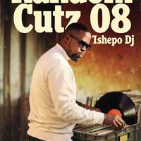 RANDOM CUTZ 08 - TSHEPO DJ by Stixx Sounds Live Sessions