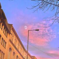 ✨Lunar City 🦜 Birds 🦜 Transmission✨ by LUI