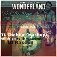 Tu Chahiye Atif Aslam Vs Stadiumx Vs TJR (Mashup) DJ Haseeb by DJ Hasiib