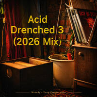 Acid Drenched 3 (2026 Mix) by Msendy