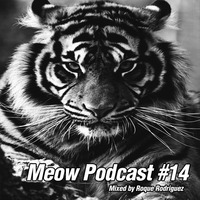 Roque Rodriguez - Meow Podcast #14 by Roque Rodriguez