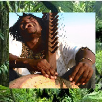 Jungle eXTasy reloaded  feat. Msafiri Zawose by hjerlmuda (eXPerimentator)