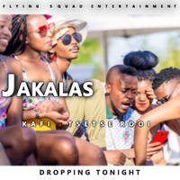 Tsetse Rooi x Kafi - Jakalas by TsetseRooi