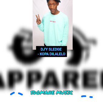 Dj'y sledge