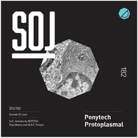 Protoplasmal (Original)192kbps version (SNIPPET) by Ponytech