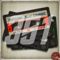 Echochamber 351 (08.11.18) by Saetchmo