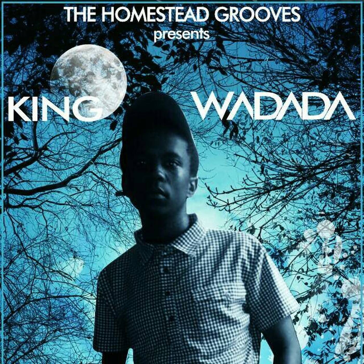 The Homestead Grooves Afro-Tech edition by King Wadada episode artwork