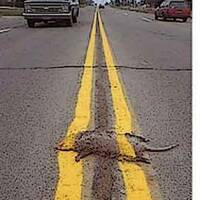 DeaneTR & Mike Mercker - Alley Cat Rutabaga - Pedaling Thru by Warriorpoets