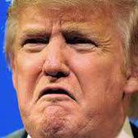 The Trump Blues part 2 by Aunt B