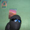 Layke Ndlovu