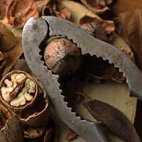 Mundo Mix Radio 243 (27-10-2023) by DJ João Machado