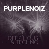 2021 Feb Deep House Techno Jaydee Paperclip People Marshall Jefferson Frankie Bones DJ Purplenoiz by Purplenoiz